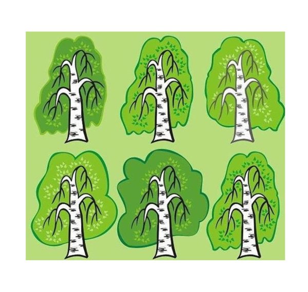 Береза для дошкольников