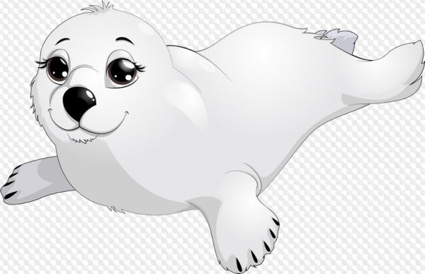 Морской котик рисунок