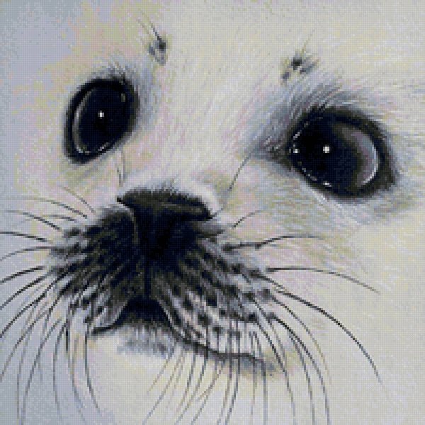 Тюлень для детей