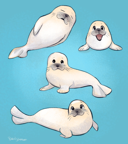 Морские котики мультяшные