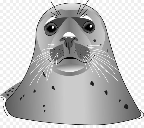 Нерпа силуэт