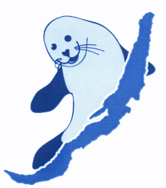 Тюлень карандашом