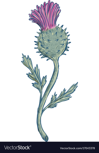 Чертополох Глазго корабль