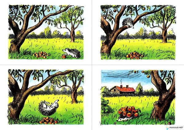 Рассказ по картинкам