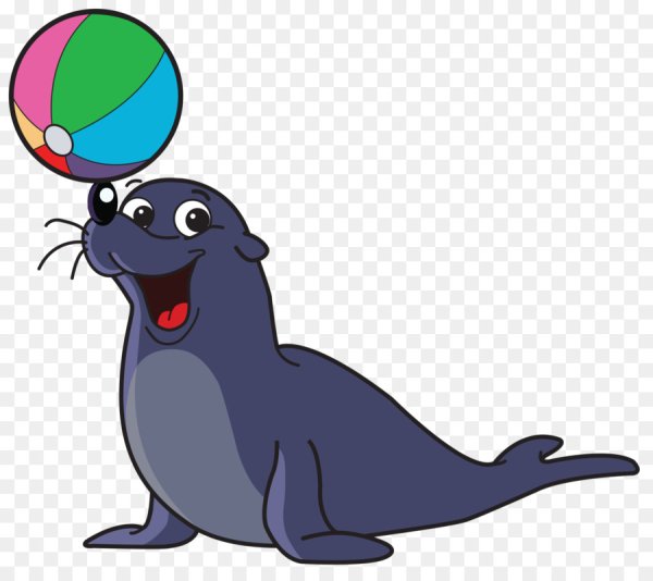 Морские котики мультяшные