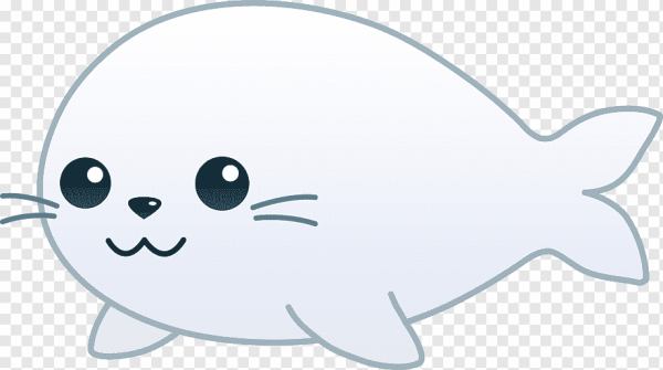 Морской котик мультяшный