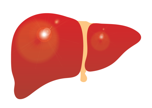 Веселая печень