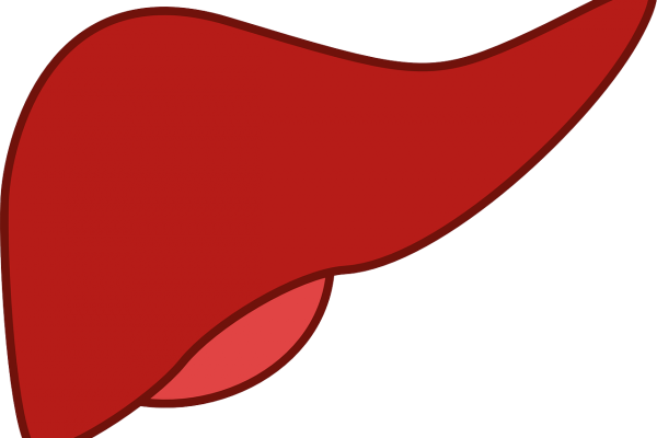 Мультяшная печень