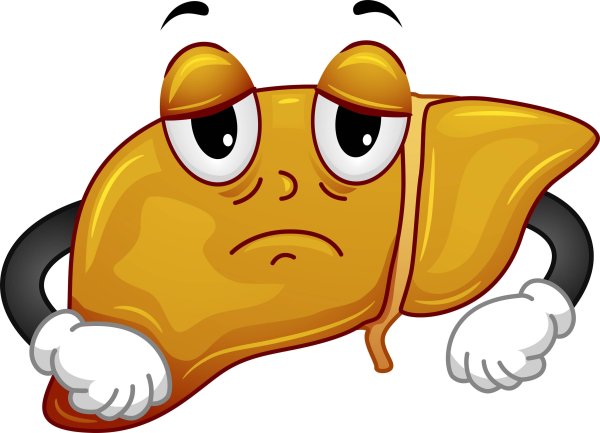 Мультяшная печень