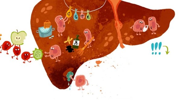 Печень стикер