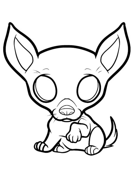 Раскраска собачка чихуахуа