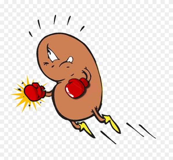 Почки мультяшно