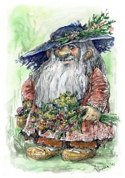 Старичок Боровичок Лесной дед