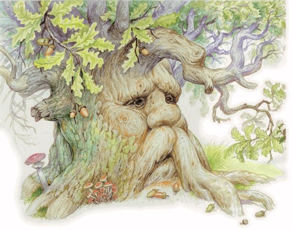 Лесовичок бородовичок