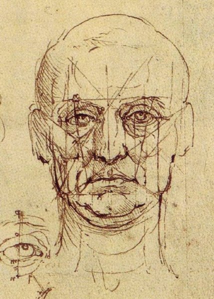 Золотое сечение Леонардо Давинчи