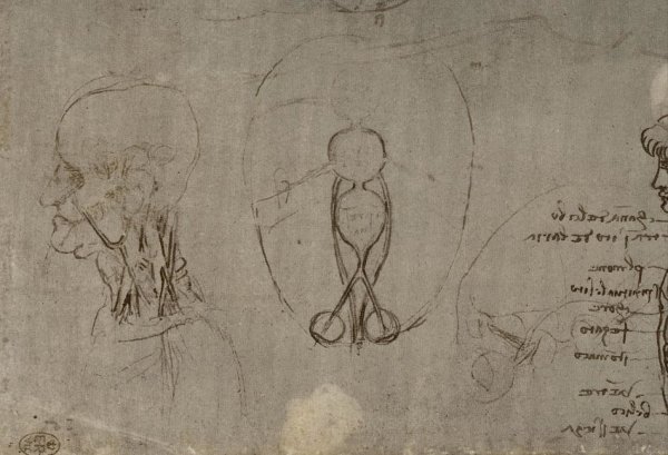 Рисунки Леонардо да Винчи