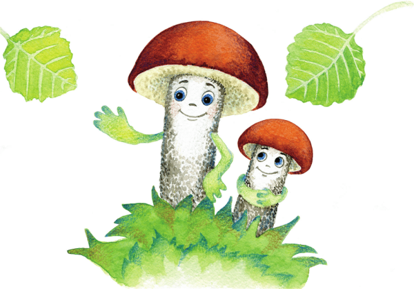 Подберезовик снизу