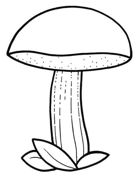 Гриб красноголовик рисунок для детей