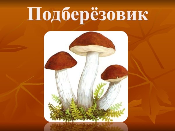 Подберезовик для дошкольников