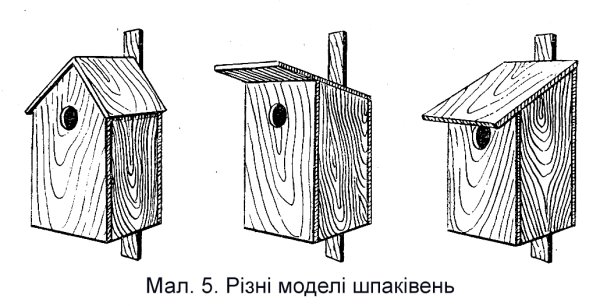 Скворечник для дошкольников
