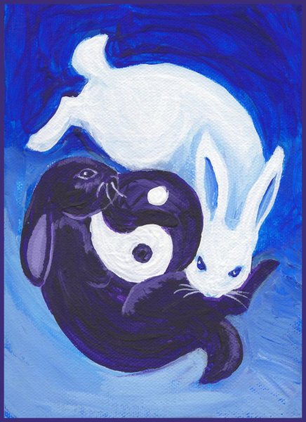 Инь Янь в виде животных