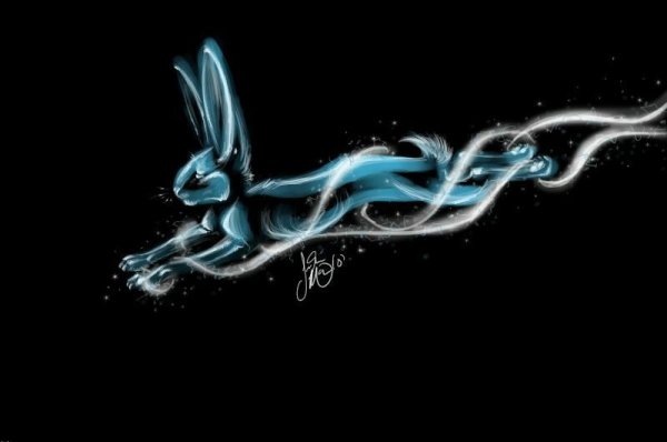 Экспекто патронум кролик