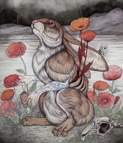 Caitlin Hackett животные