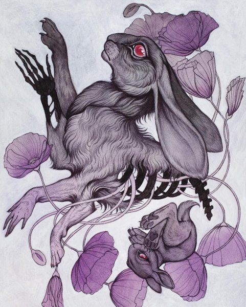 Caitlin Hackett животные