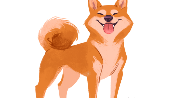 Сиба ину арт