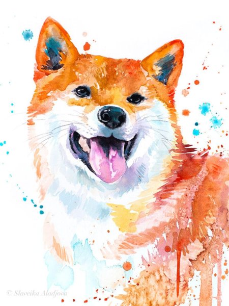 Сиба ину акварелью