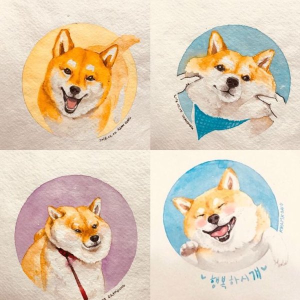 Шиба ину скетч