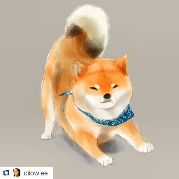 Шиба ину щенки арт