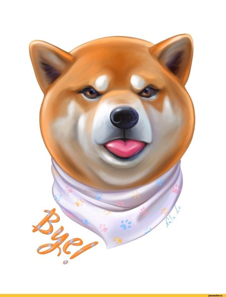 Сиба ину арт