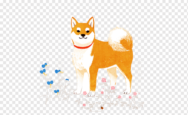 Акита сиба арт