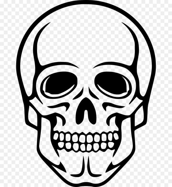 Череп вектор