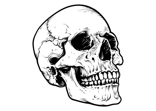 Череп для срисовки