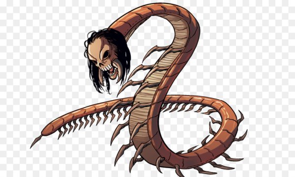 Анатомия сколопендры