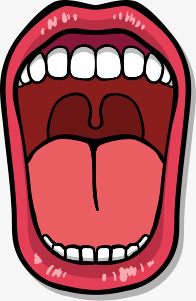 Ротовая полость вектор