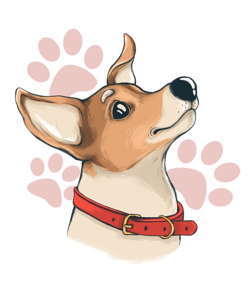 Парсон-Рассел-терьер рис