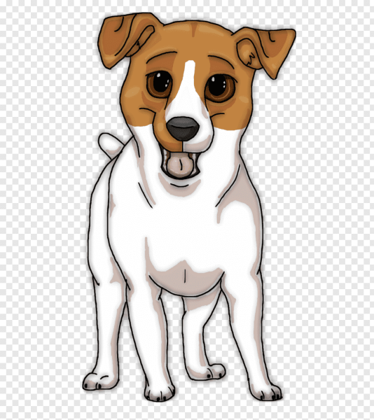 Генри Рассел терьер