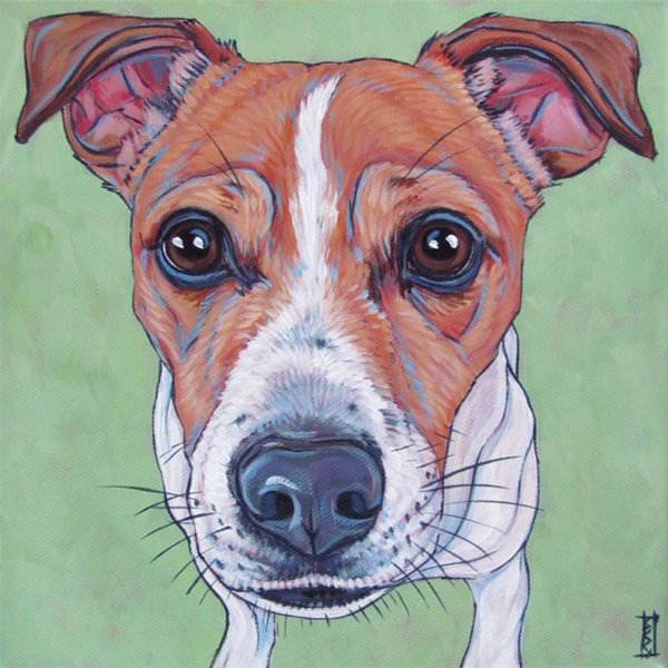 Парсон-Рассел-терьер рис