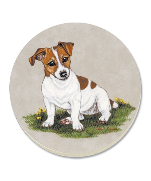 Джек Рассел терьер арт