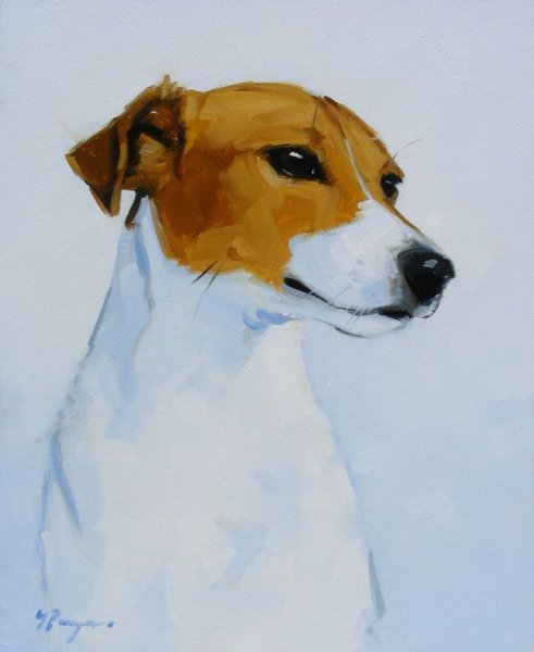 Джек Рассел терьер рисунок