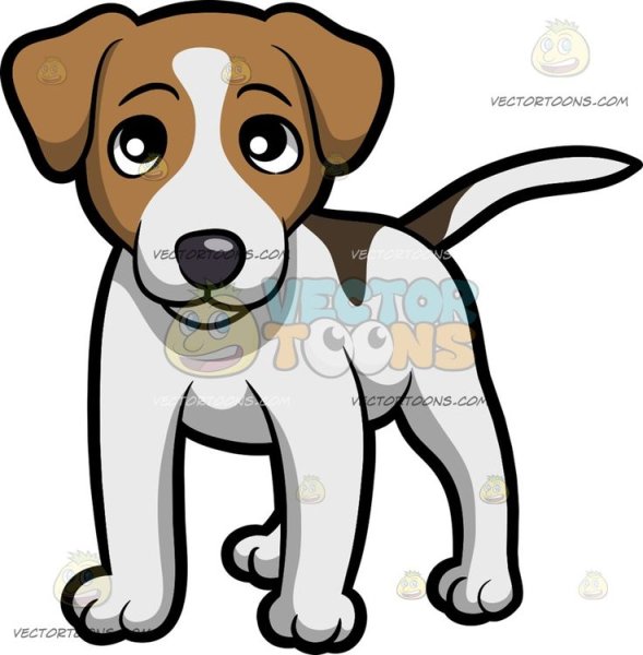 Срисовка пса Джек Рассел