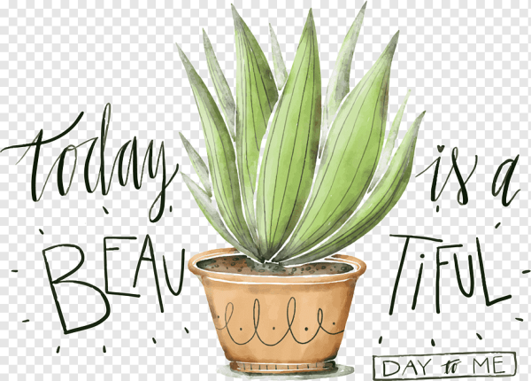 Постер алоэ