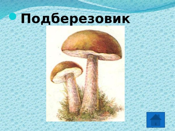 Подберезовик гриб для детей