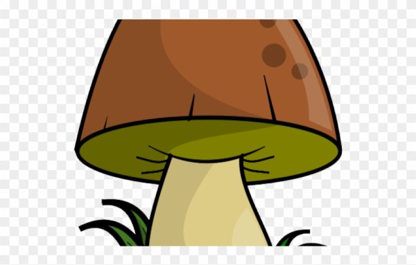 Подберезовик гриб для детей