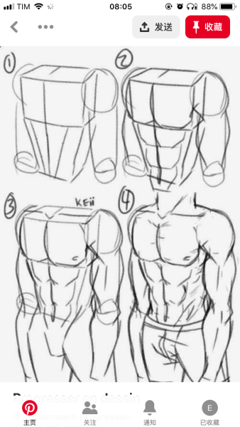 Туториал торс сбоку