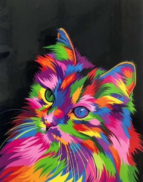 Разноцветный кот