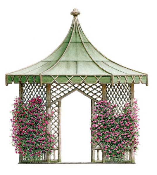 Японский сад эскиз